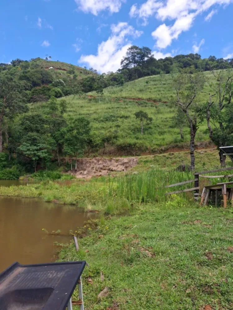 Terreno, 2 hectares - Foto 13
