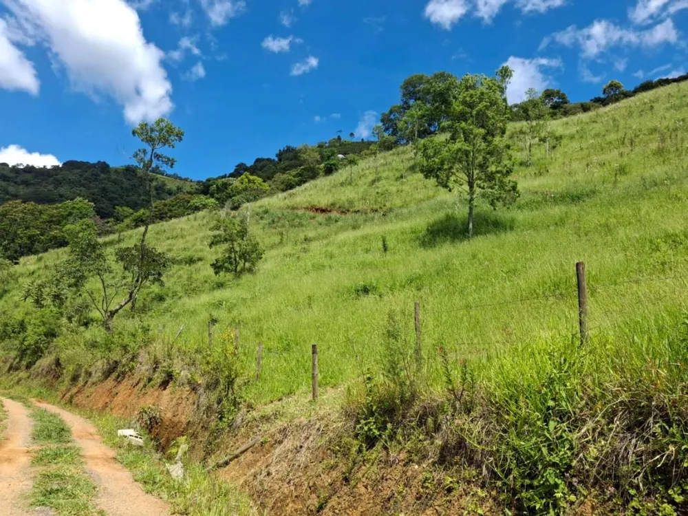 Terreno, 2 hectares - Foto 16