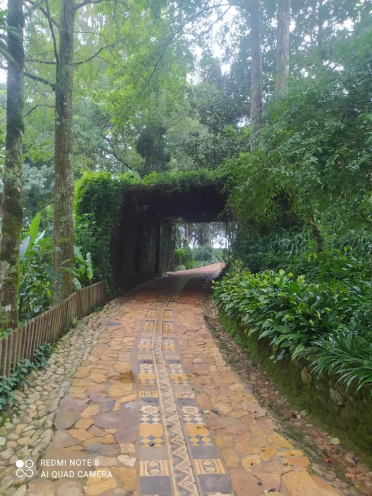 Terreno, 12 hectares - Foto 7