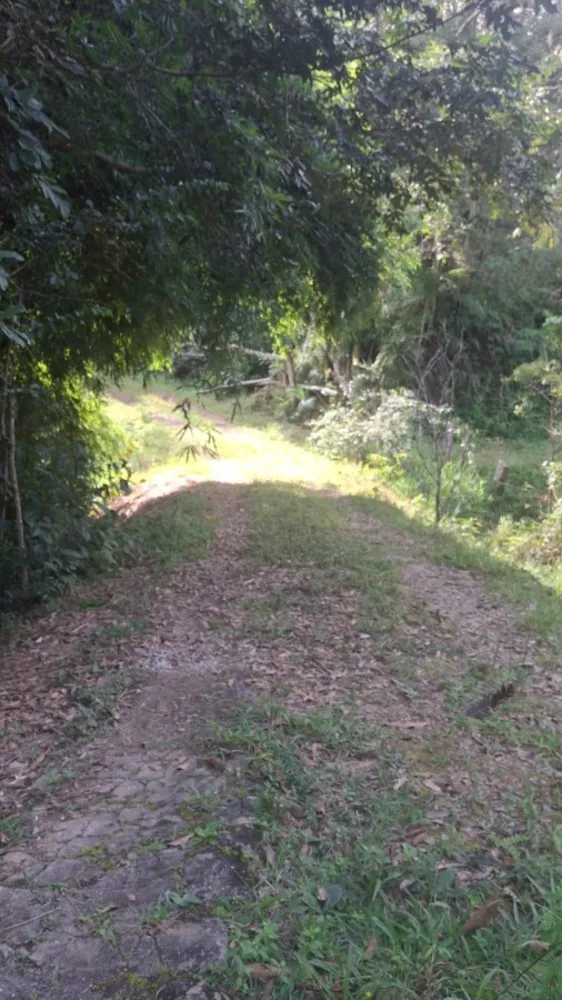 Terreno, 2 hectares - Foto 9