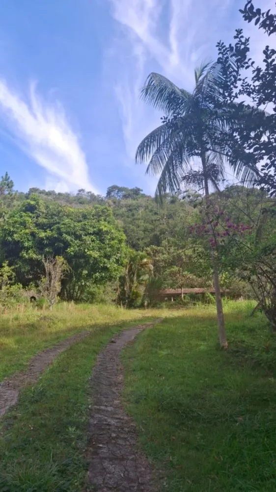 Terreno, 2 hectares - Foto 11