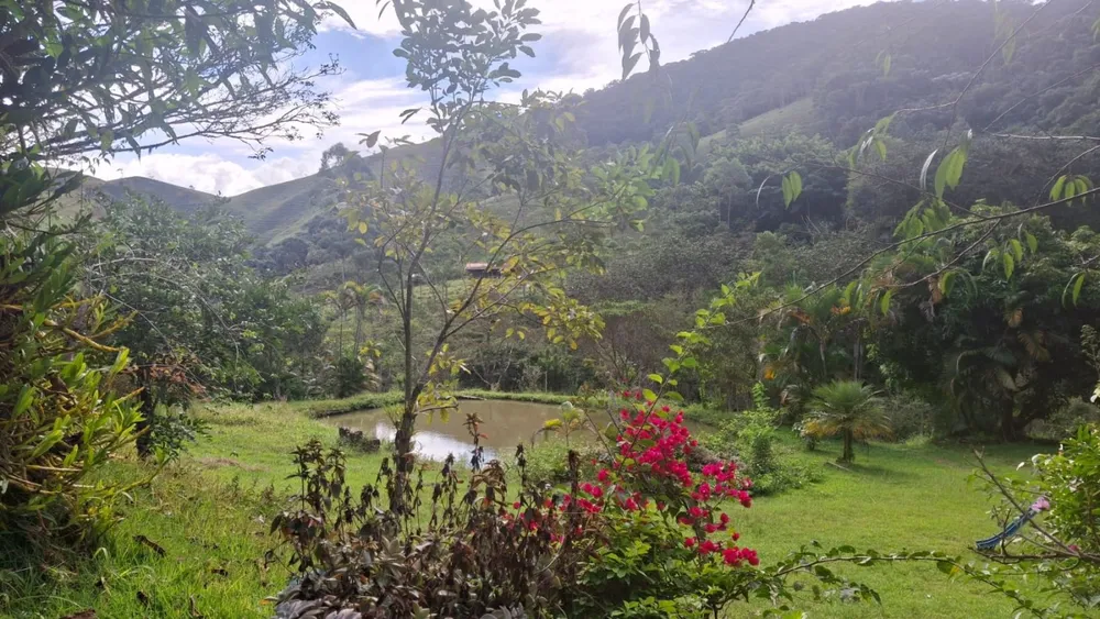 Terreno, 2 hectares - Foto 16