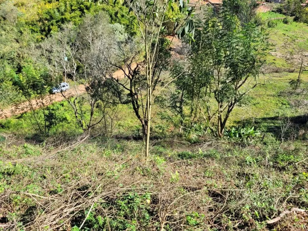 Terreno, 2 hectares - Foto 6