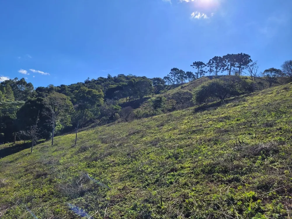 Terreno, 2 hectares - Foto 12