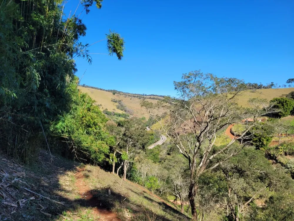 Terreno, 2 hectares - Foto 7