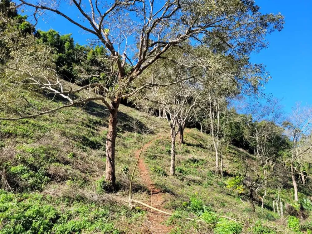 Terreno, 2 hectares - Foto 4