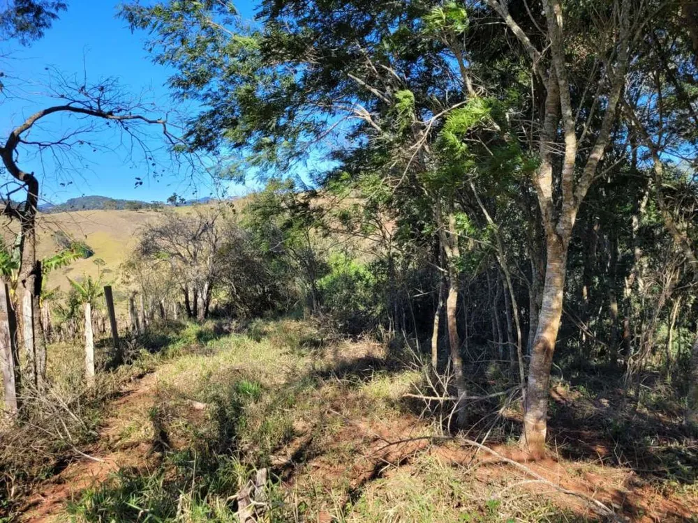 Terreno, 2 hectares - Foto 13