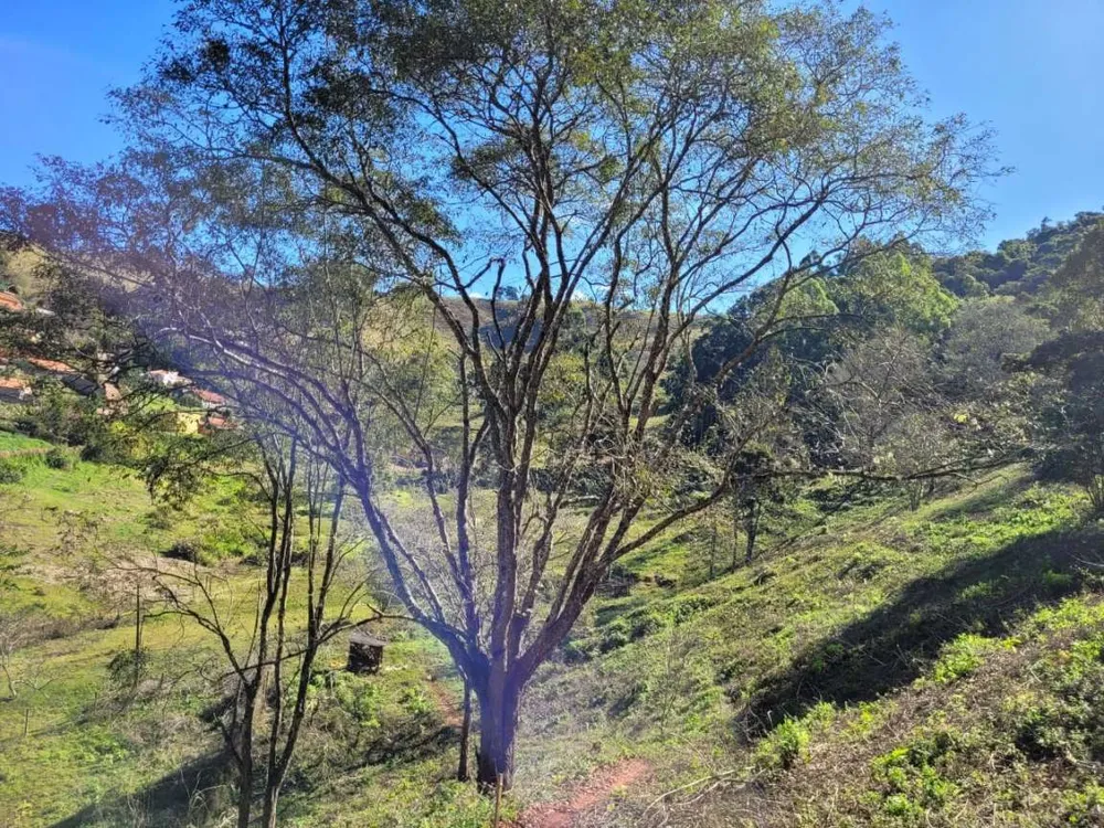 Terreno, 2 hectares - Foto 8