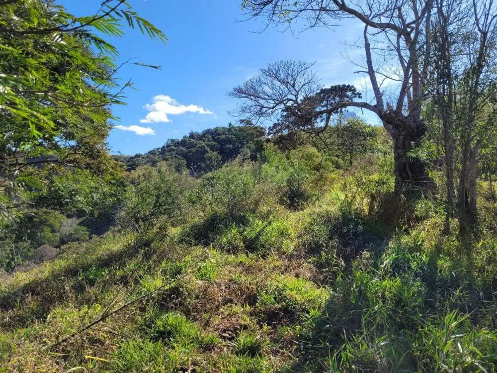 Terreno, 2 hectares - Foto 14