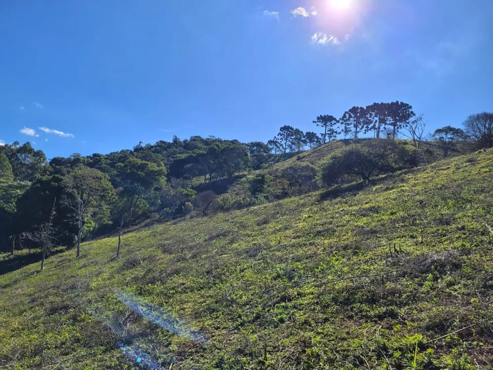 Terreno, 2 hectares - Foto 11