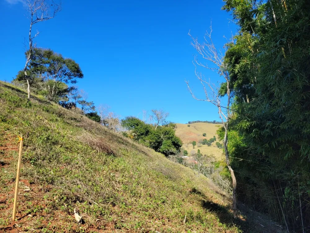 Terreno, 2 hectares - Foto 10
