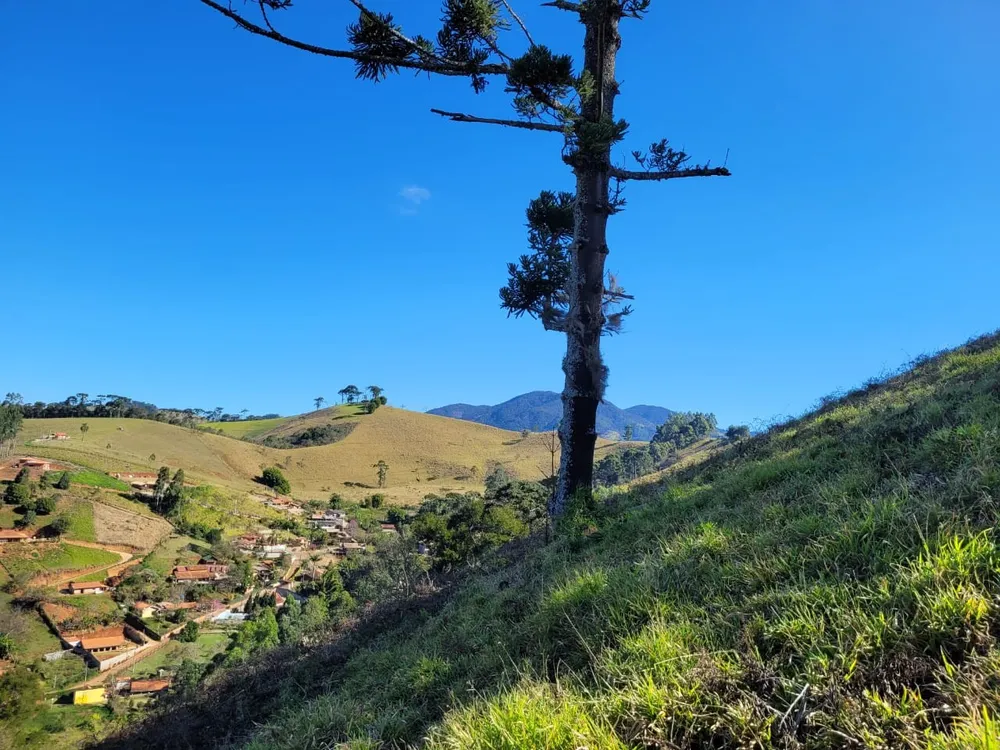 Terreno, 2 hectares - Foto 15