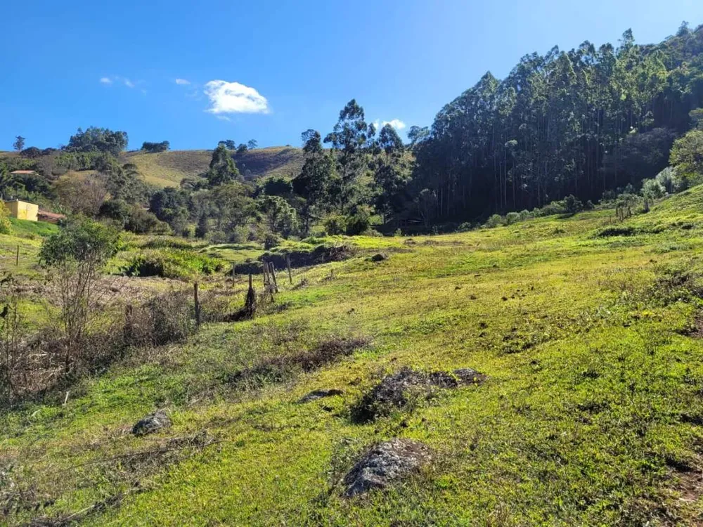 Terreno, 2 hectares - Foto 2