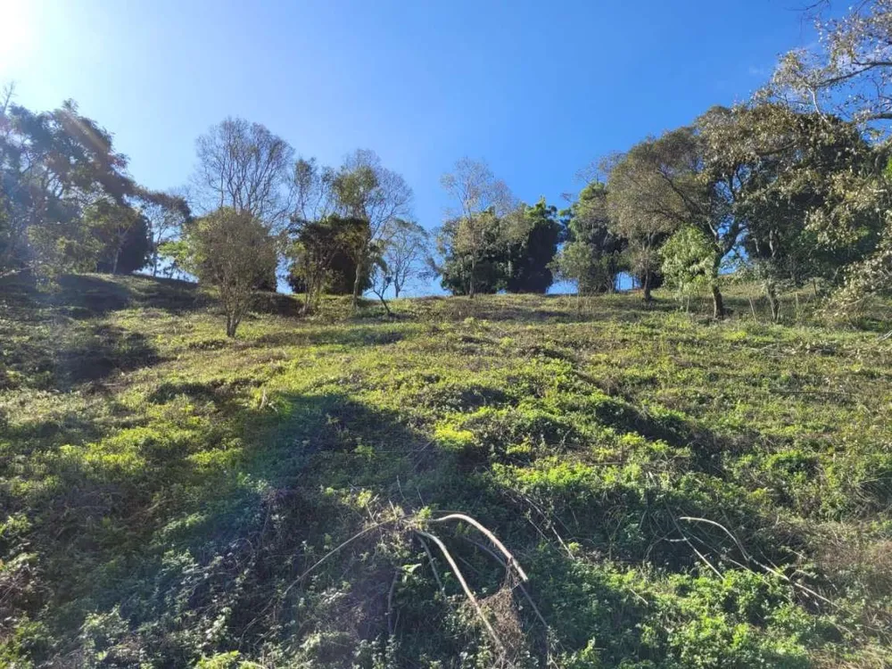 Terreno, 2 hectares - Foto 3