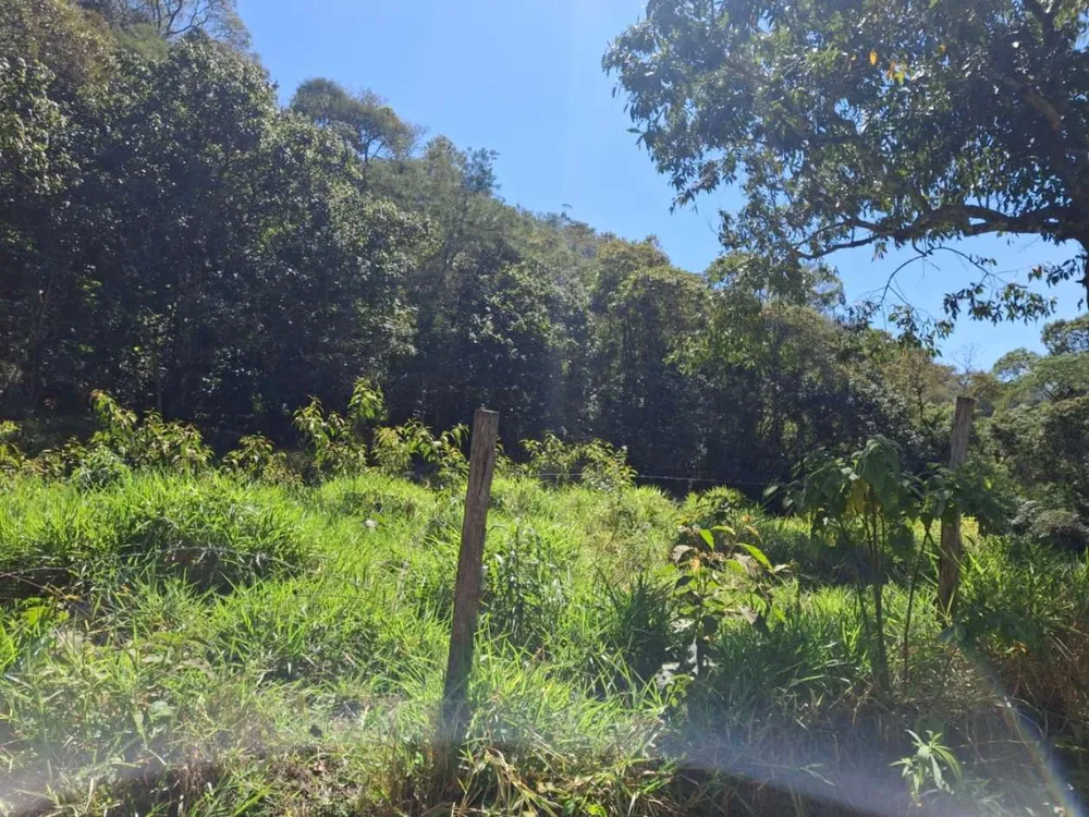 Terreno, 2 hectares - Foto 13