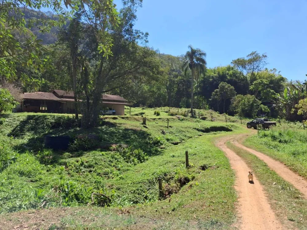 Terreno, 2 hectares - Foto 4