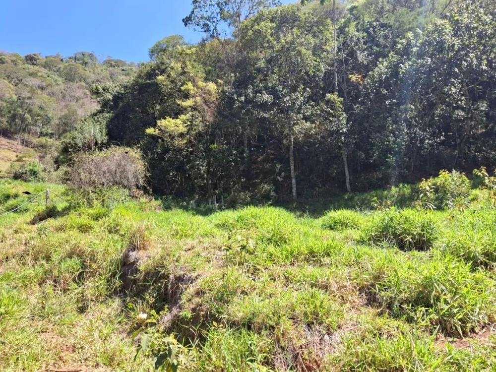 Terreno, 2 hectares - Foto 6