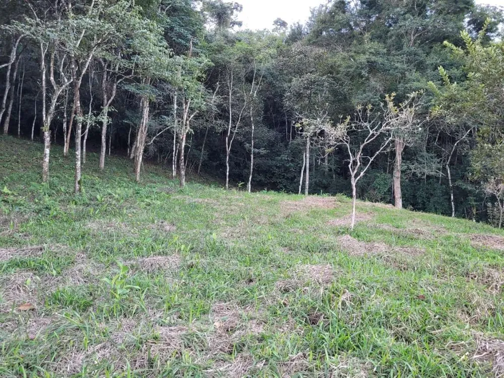 Terreno, 27 hectares - Foto 3