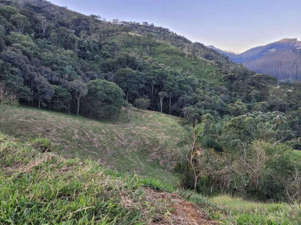 Terreno, 27 hectares - Foto 12