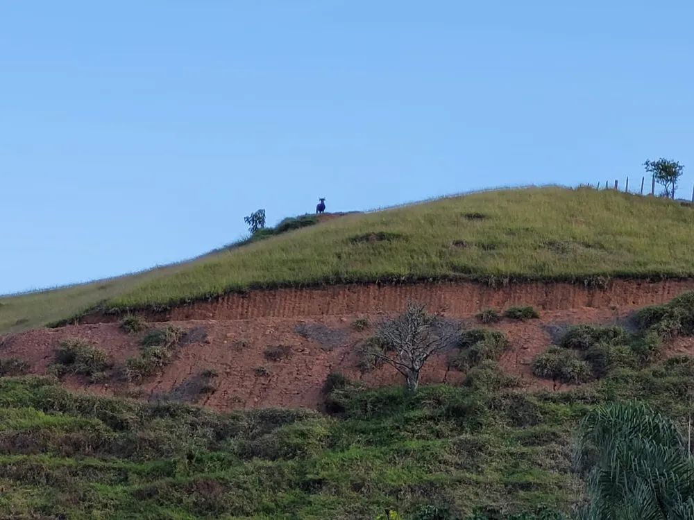 Terreno, 27 hectares - Foto 7
