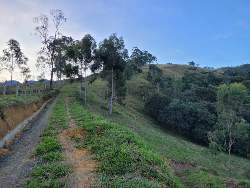 Terreno, 27 hectares - Foto 13