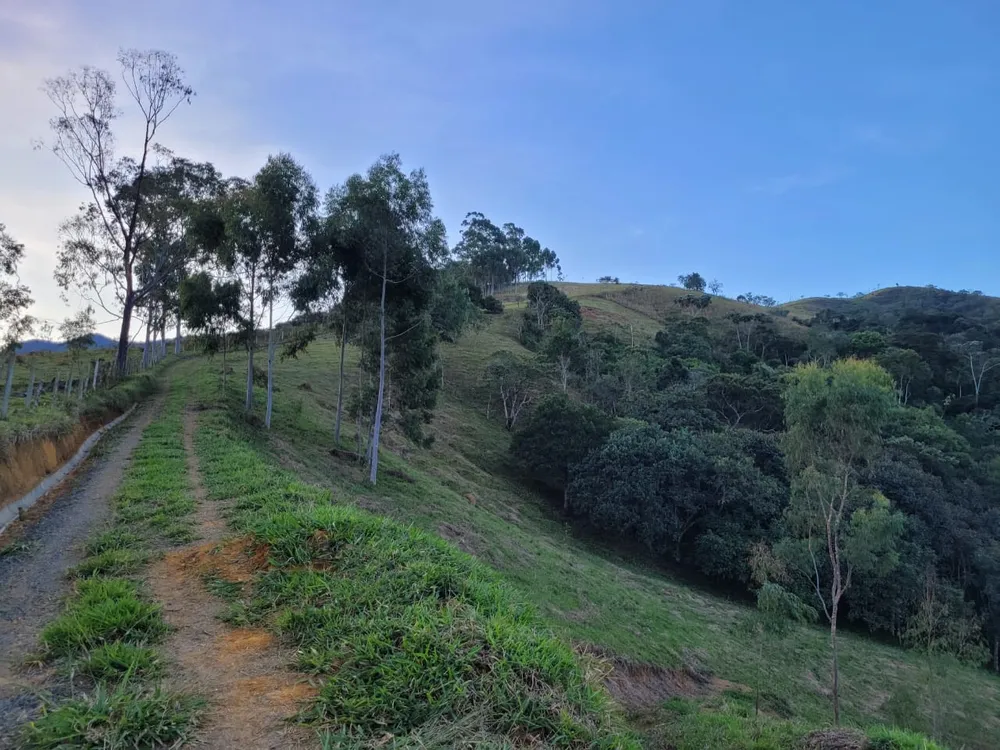 Terreno, 27 hectares - Foto 10