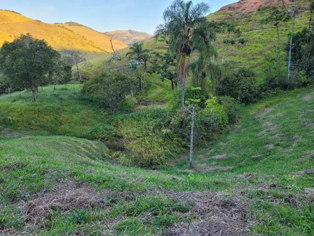 Terreno, 27 hectares - Foto 4