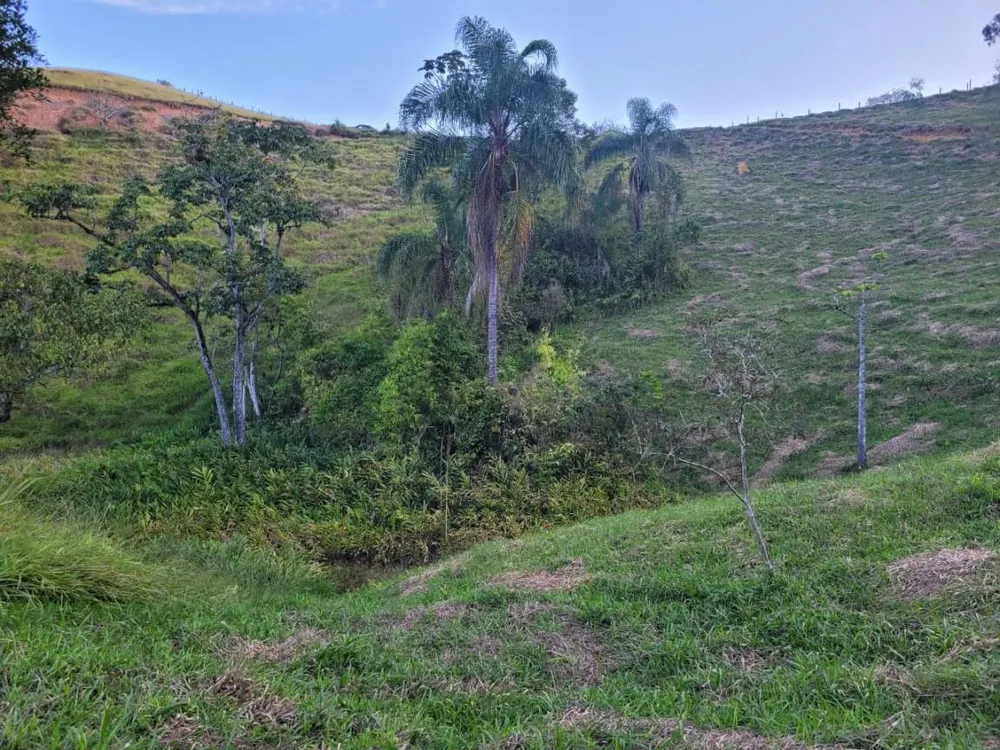 Terreno, 27 hectares - Foto 8