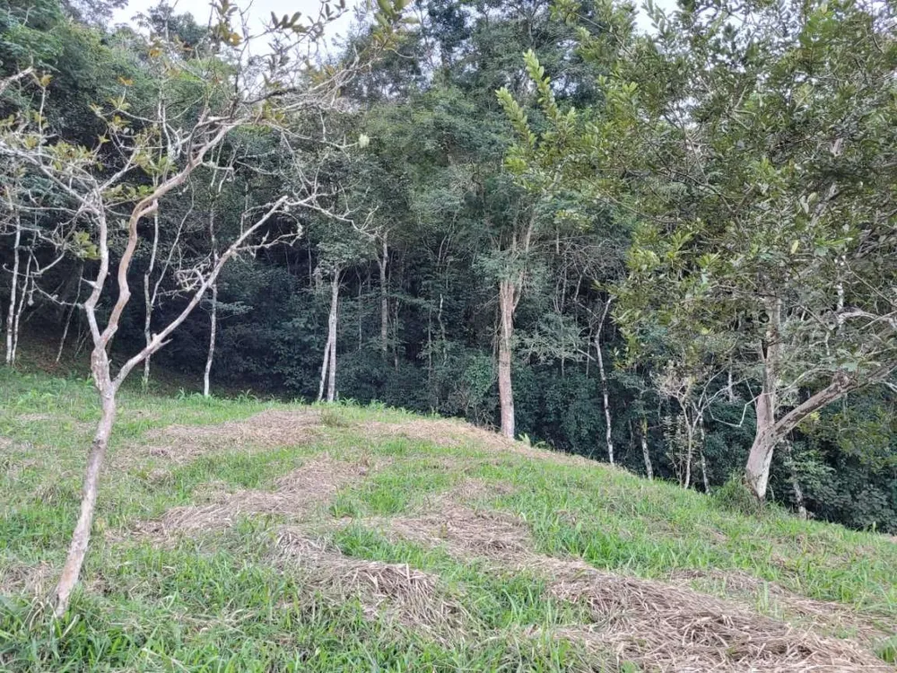 Terreno, 27 hectares - Foto 9