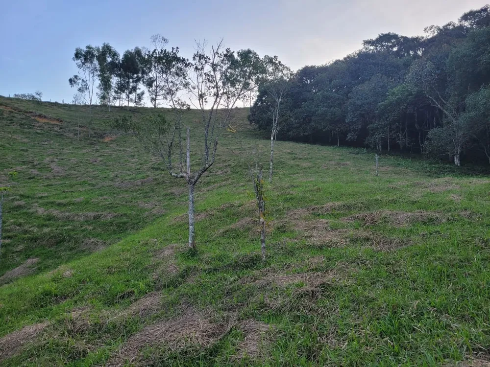 Terreno, 27 hectares - Foto 11