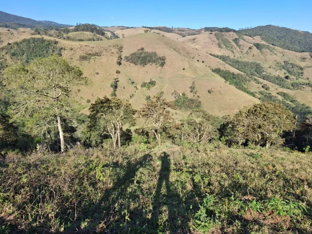 Terreno, 2 hectares - Foto 7