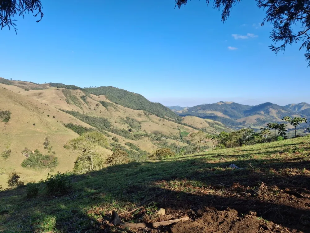 Terreno, 2 hectares - Foto 8