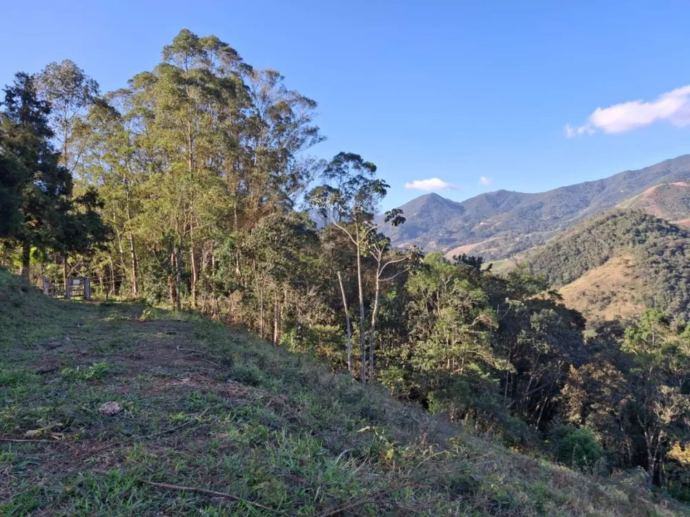 Terreno, 2 hectares - Foto 6