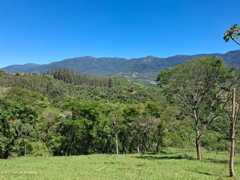 Terreno, 2 hectares - Foto 7