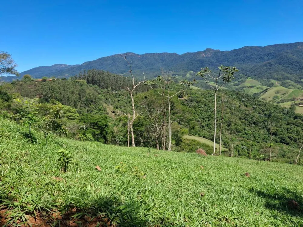 Terreno, 2 hectares - Foto 8