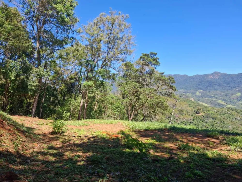 Terreno, 2 hectares - Foto 6