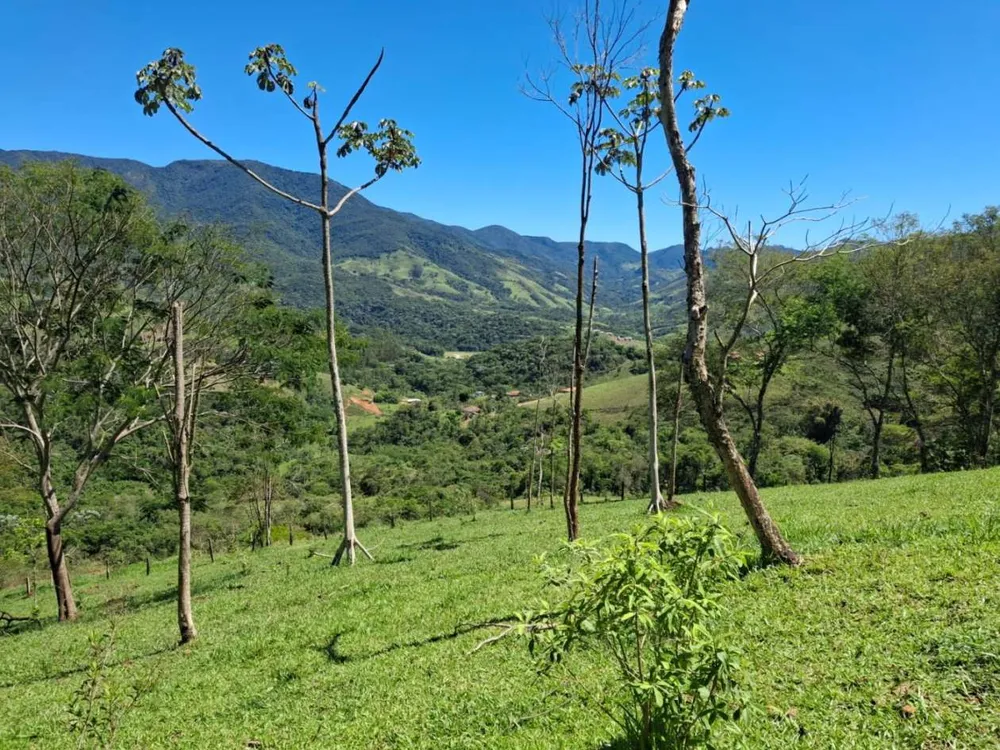 Terreno, 2 hectares - Foto 4