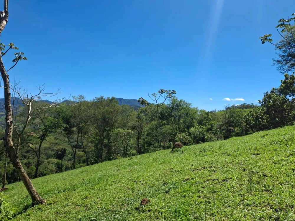 Terreno, 2 hectares - Foto 3