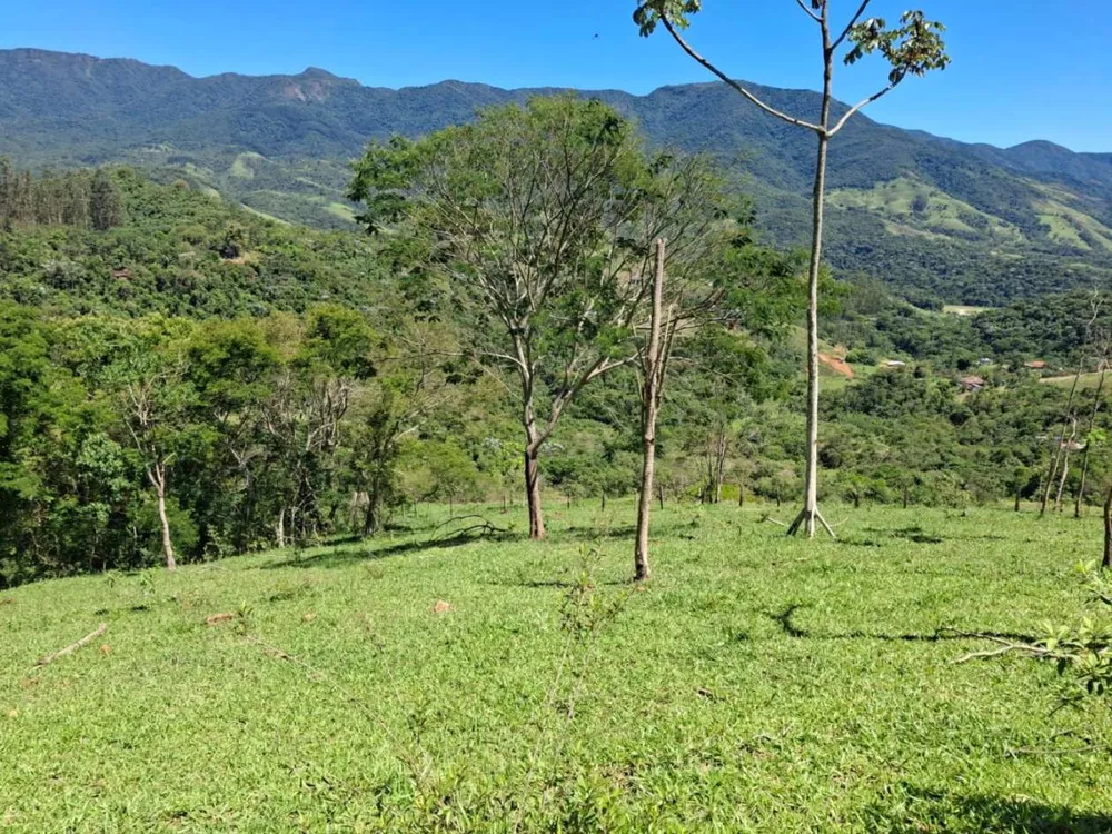 Terreno, 2 hectares - Foto 7
