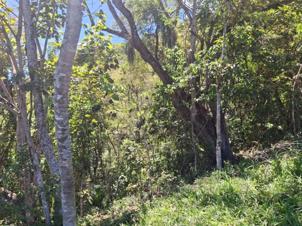 Terreno, 2 hectares - Foto 3
