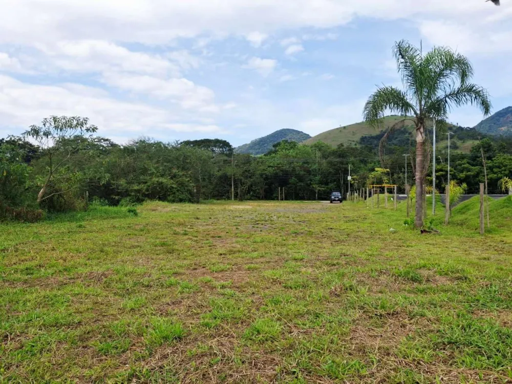 Terreno, 3 hectares - Foto 7