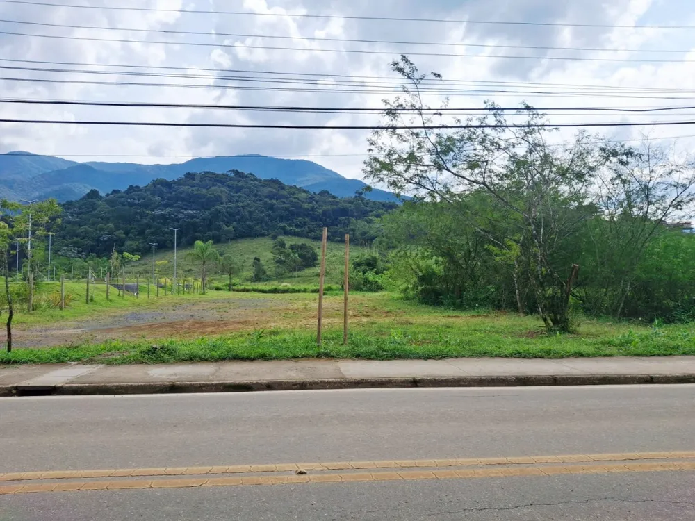 Terreno, 3 hectares - Foto 8