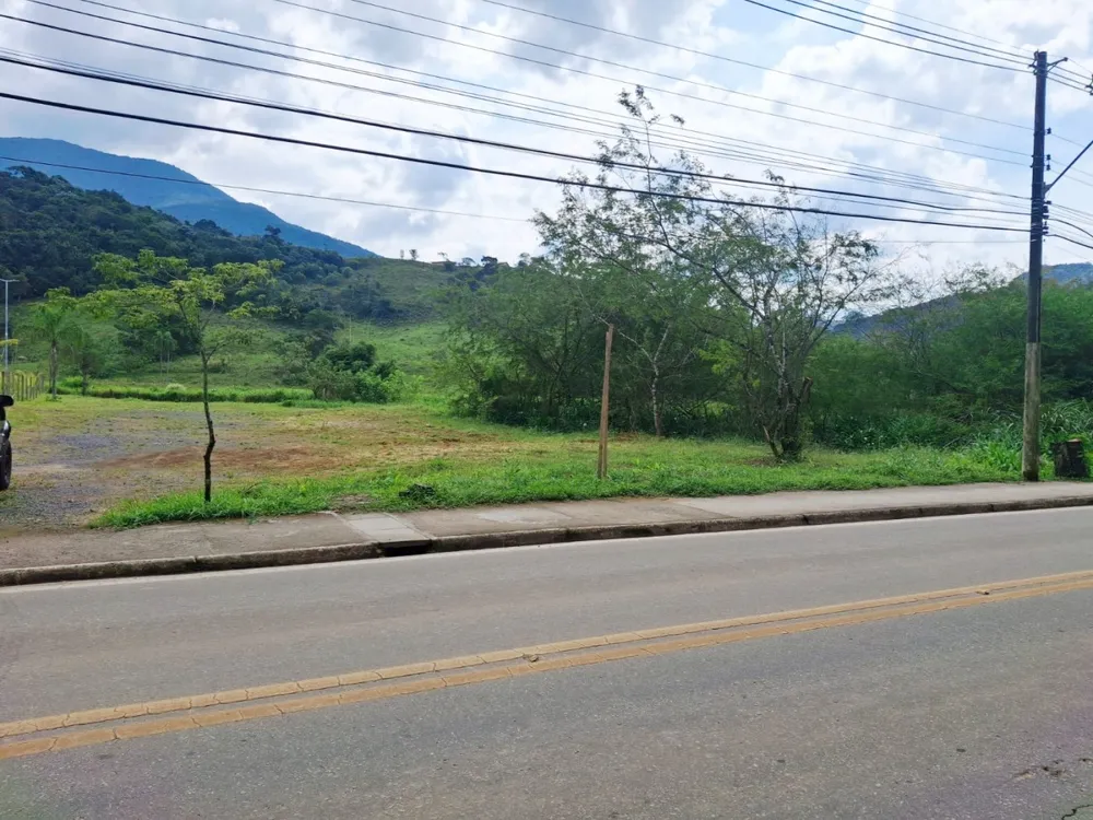 Terreno, 3 hectares - Foto 6