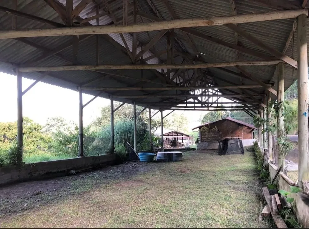 Terreno, 28 hectares - Foto 15