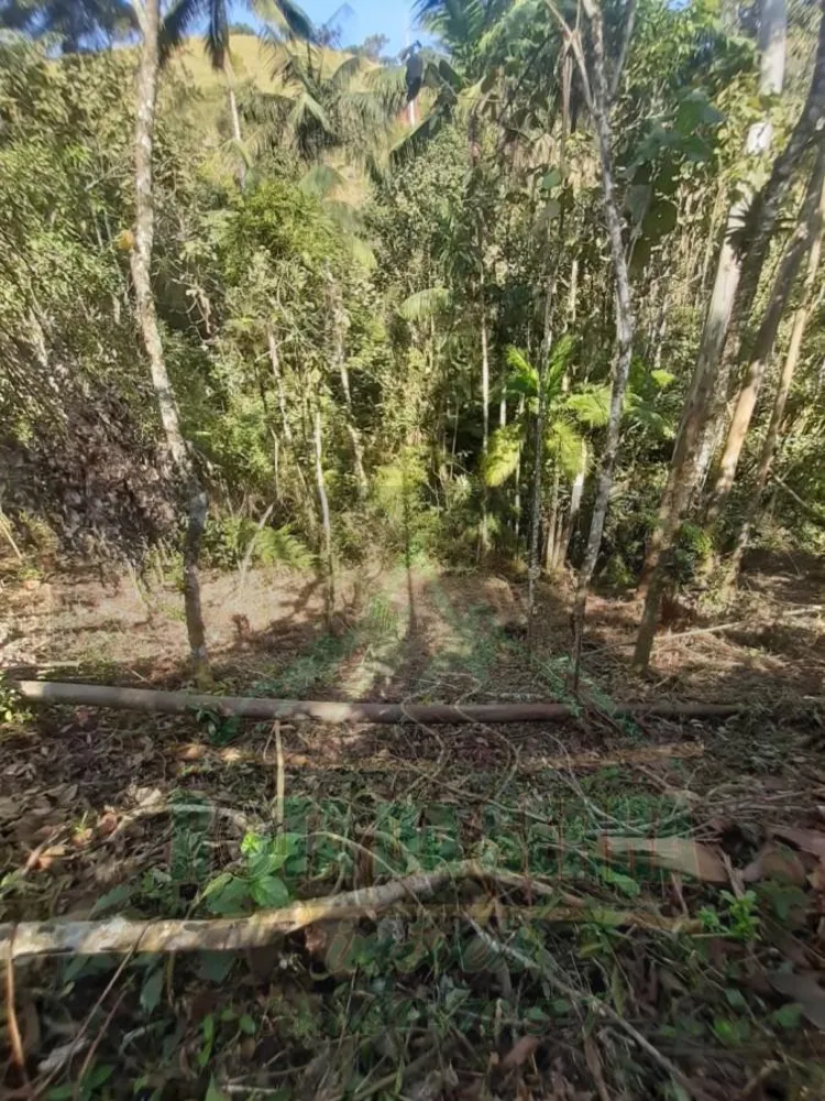 Terreno, 5000 m² - Foto 9