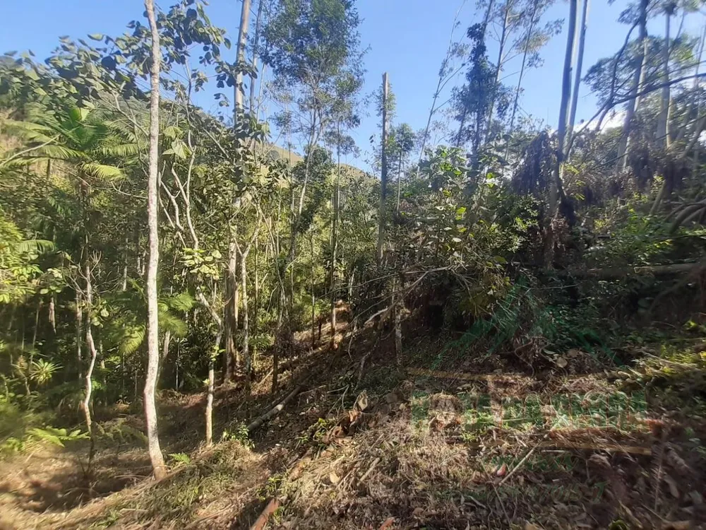 Terreno, 5000 m² - Foto 7