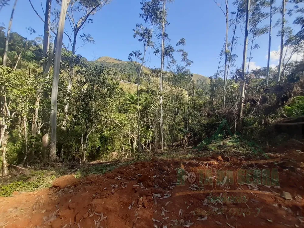 Terreno, 5000 m² - Foto 8