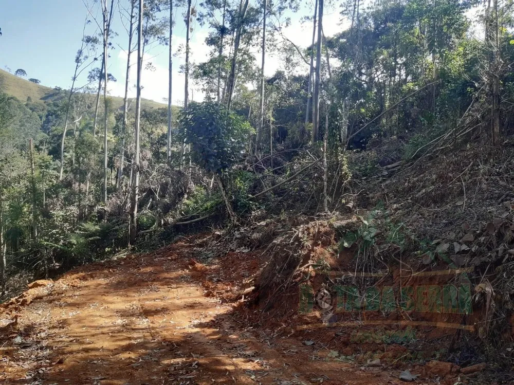 Terreno, 5000 m² - Foto 4