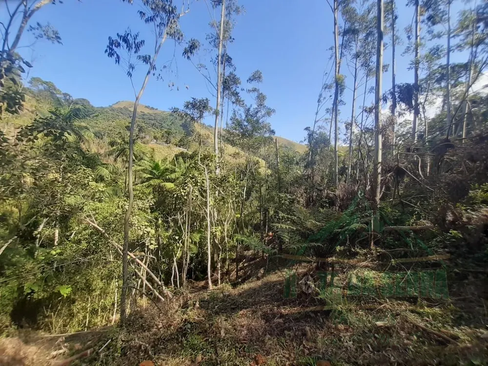 Terreno, 5000 m² - Foto 1