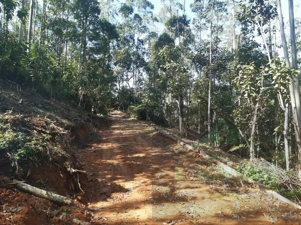Terreno, 5000 m² - Foto 12